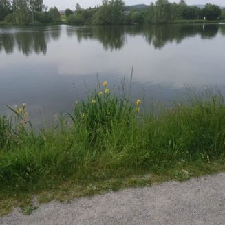 Erlauzwiesler See